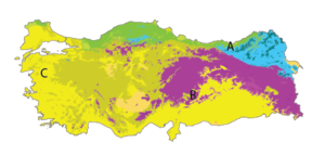 İklim haritası işaretli şehirler.png