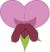 Pembe Fasulye Çiçeği mendel.png